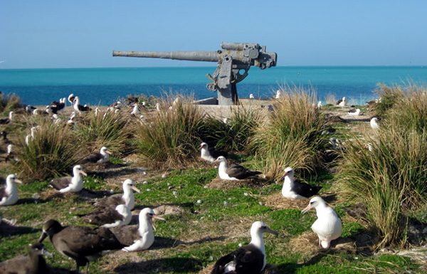 Visitor Map of Sand Island the Midway Atoll