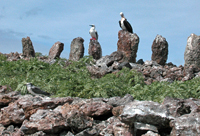 Archaeological District of Necker Island