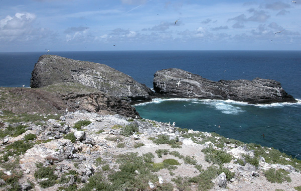 Shark Bay on Necker Island in the Northwest Hawaiian Islands