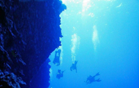 Scuba Diving Off South Side of Molokini